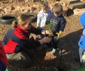A teacher showing the children how to plant a shrub in the garden 