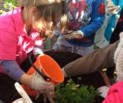 students planting flowers in a pot 
