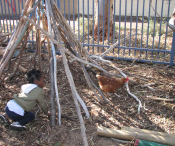Child playing with a chicken in a tipi made out of sticks