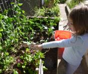 Child pointing to plants in a vegetable patch