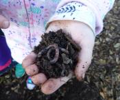 A worm and some dirt in a child's hand
